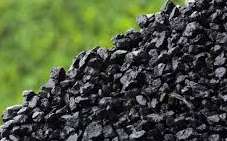 افزایش 5 درصدی تولید کنسانتره زغال سنگ ایمیدرو